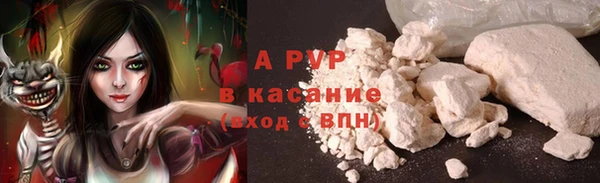 дмт Белокуриха