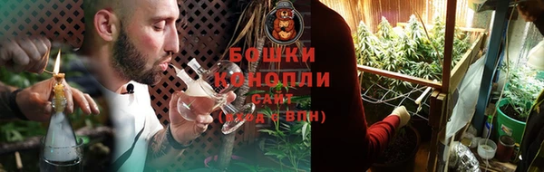 дмт Белокуриха