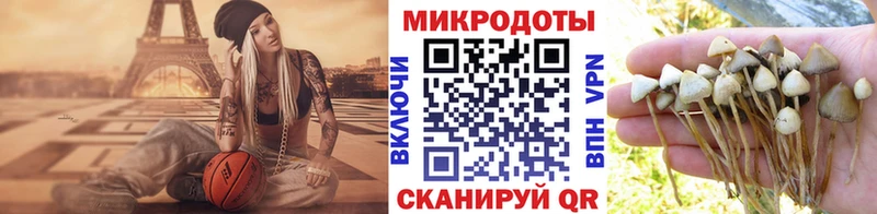 мега ссылка  Нижняя Тура  Псилоцибиновые грибы Cubensis 